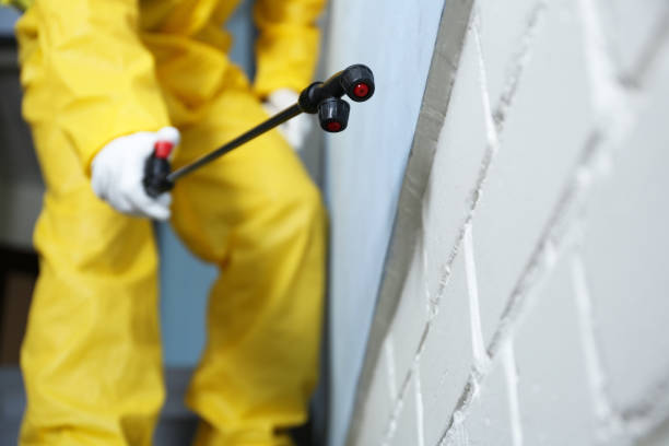 Best Pest Control for Multi-Family Homes  in USA